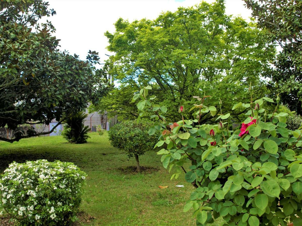 Albergue Pallanes 투이 외부 사진